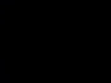 akarick mega cam