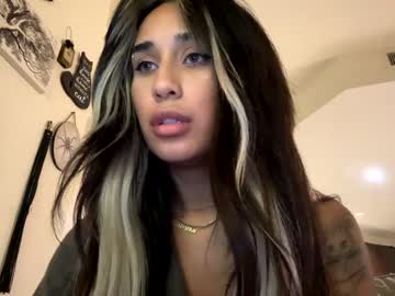 skyyefox mega cam