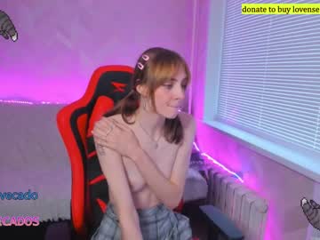 evecados mega cam