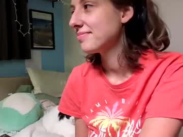 adasonii mega cam