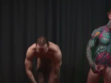 sage6688 mega cam