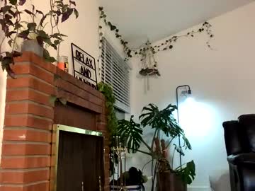 enterelectra mega cam