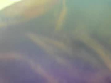 nicolasmuscle mega cam