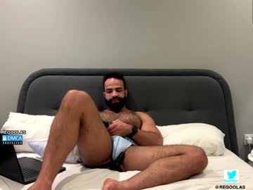 regoolas mega cam